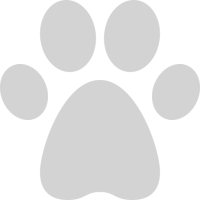 Animaux Acceptés